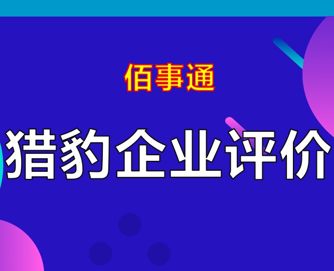 猎豹企业评价(咨询服务)